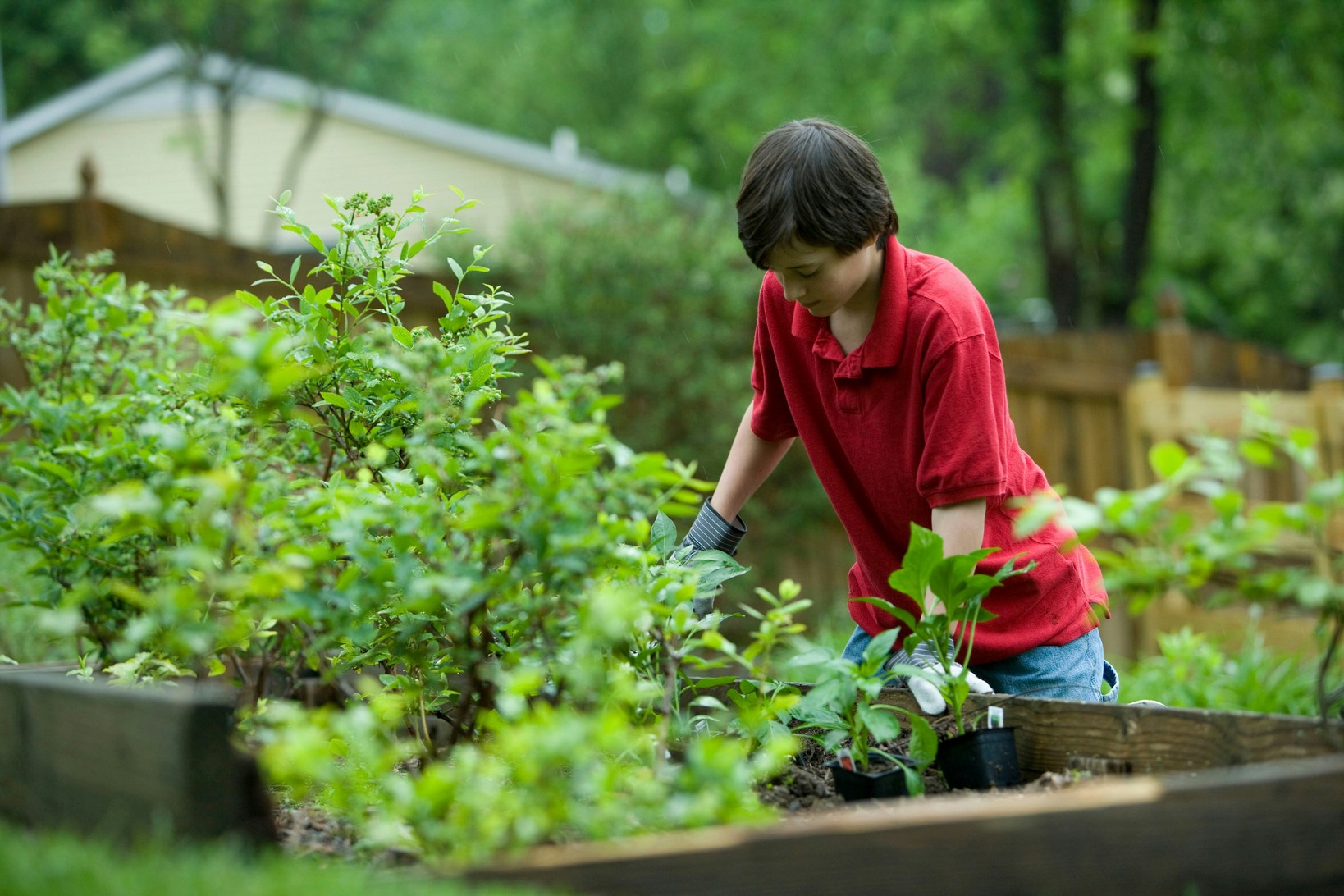Профессия садовника: где и как учиться на нее с нуля?