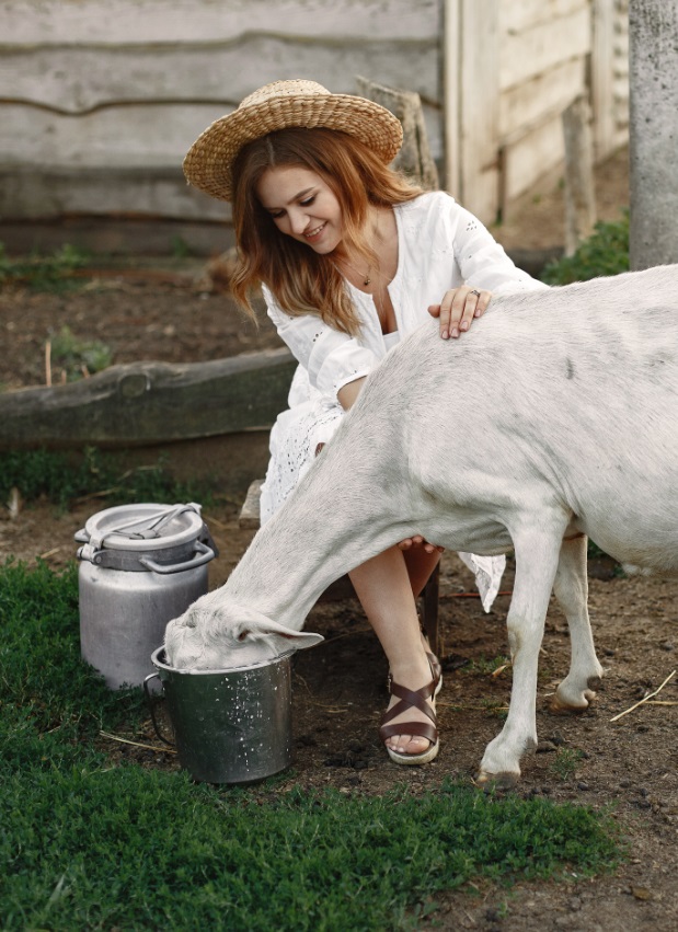 Изображение 85